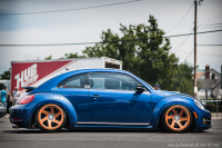 BEETLE (1)